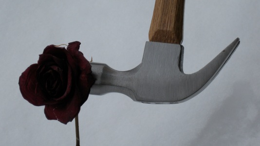A hammered rose